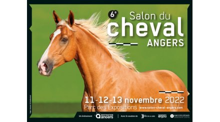 Salon du Cheval d’Angers: the competitions will be present offering 3 conferences