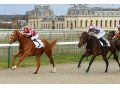 Qatar Bolt à Chantilly