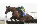 Espoir d'Allen GIII Fairyhouse 2017