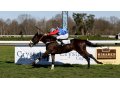 Gamin d'Oudairies - Prix Antoine de Palaminy (Listed) 2020 - Pau