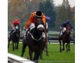 Une Destiné, Gagnante Prix André Michel G III à Auteuil.